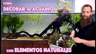 Consejos para decorar el acuario con elementos naturales [upl. by Huntingdon]