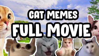 CAT MEMES ROAD TRIP COMPILATION [upl. by Nimra]