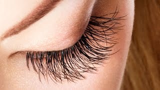 How To Grow Long amp Thick Eyelashes Fast Naturally [upl. by Selokcin]