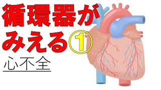 【心不全】これでクリア！心不全の病態と薬物治療の関係 医療系学生必見！ [upl. by Llenod833]