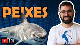 Peixes  Aula 28  Módulo VI Zoologia  Prof Gui [upl. by Grizel]