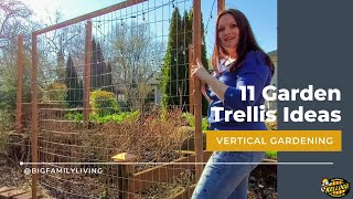 11 Garden Trellis Ideas [upl. by Lener]