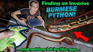 Finding INVASIVE Reptiles in Florida [upl. by Tris886]