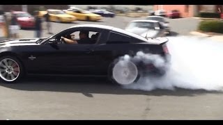 SVT Cobra Club and ProDyno CruiseIn Leaving Show HD  Part 1 [upl. by Brynne768]