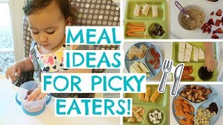 How To Make Meal Times Fun For Fussy Eaters  Supernanny [upl. by Hartfield]