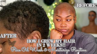 How To Grow THICK amp HEALTHY Natural Hair FAST  RICE OIL Hair Growth in 2 weeks  Laurasia Andrea [upl. by Otxilac]