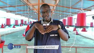 COMMENT CONSTRUIRE UN BÂTIMENT AVICOLE DALALE NDANANE Wally DIOP MAZ [upl. by Godric56]