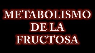 Metabolismo de la Fructosa [upl. by Malloch]