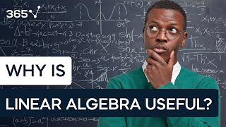 Why is Linear Algebra Useful [upl. by Alyek]