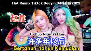 赵鑫  许多年以后DJ抖音版Xu Duo Nian Yi Hou【Bertahuntahun Kemudian Many Years Later】Indonesian Translation [upl. by Kalfas]