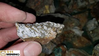 How To Find Gold amp Mineral Deposits [upl. by Assirim]