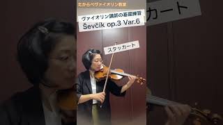 Ševčík Op3 Ver6 ヴァイオリン講師の基礎練習⑥ quotBasic violin instructor exercisesquot sevcik etude [upl. by Mafala366]