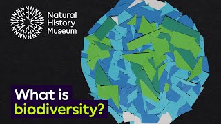 What is biodiversity  Natural History Museum [upl. by Cathey]