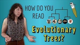 How do you read Evolutionary Trees [upl. by Akiam]