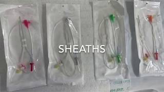 BASICS OF CATH LAB SHEATHS [upl. by Trebla265]