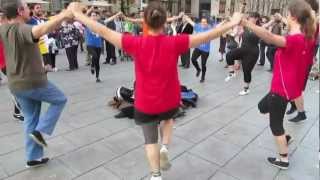 La Sardana  Danza en las calles de Barcelona [upl. by Ratib963]