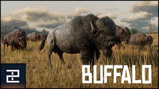 Red Dead Redemption 2  Buffalo  Location [upl. by Elrahc]