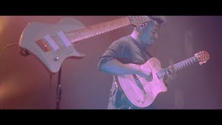 ANIMALS AS LEADERS  The Brain Dance Live Music Video [upl. by Arek]