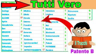 Patente B Tricks  Tutti Vero Parole Per Voi  il Trucchi patente b in Urdu  Punjabi  hindi [upl. by Melan]