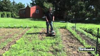 Removing weeds with a MC43 Mini Cultivator [upl. by Noemis]