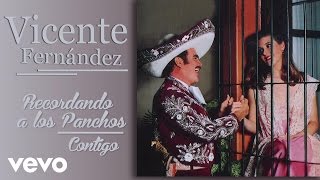 Vicente Fernández  Contigo Cover Audio [upl. by Nos]