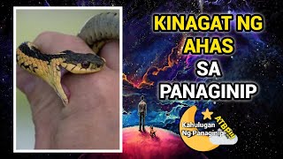 Kahulugan Sa Panaginip Na Kinagat Ng Ahas [upl. by Anawak863]