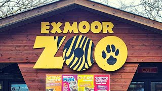 Exmoor Zoo Vlog [upl. by Odessa]