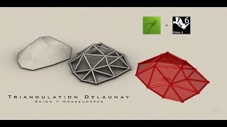 Grasshopper 004 Triangulation Delaunay [upl. by Antons206]