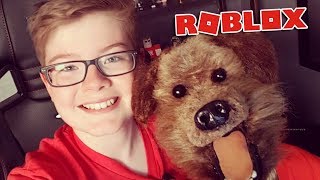 Playing Roblox with Hacker the talking dog [upl. by Dnalyag]