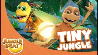 Tiny Jungle  Jungle Beat Compilation Full Episodes [upl. by Wagshul]