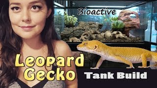 Leopard Gecko Tank Setup  Bioactive Terrarium [upl. by Gignac]