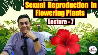 Sexual Reproduction in Flowering Plants l Lecture 7 l Biology l NEET [upl. by Ingaborg396]