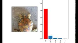 Synthesizing Robust Adversarial Examples Adversarial Turtle [upl. by Hakan]