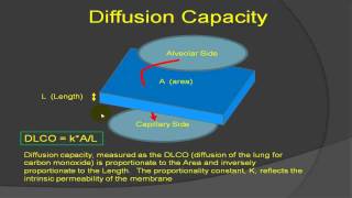 Pulmonary Function Tests  PFT Interpretation Explained Pulmonology [upl. by Stanly]