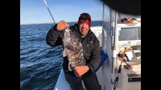 When to Set the Hook Non Stop Tautog Blackfish Jig Bite [upl. by Egreog552]