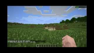 Minecraft Koordinaten lesen [upl. by Afatsom440]