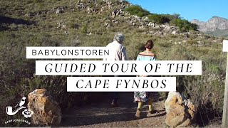 Guided Tour Of The Cape Floral Kingdom At Babylonstoren [upl. by Kimberley63]