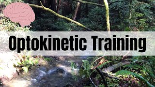 Optokinetic Training Walking Through Muir Woods Forest 627 [upl. by Vokaay]