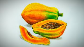 Papaya and slices drawing and pencil coloring tutorial  Freehand drawing  Realistic drawing [upl. by Pernas96]