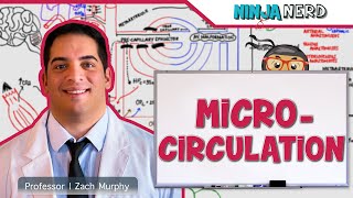 Cardiovascular  Microcirculation [upl. by Esinej701]