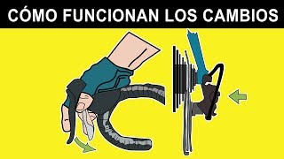 CAMBIOS DE LA BICICLETA ¿CÓMO FUNCIONAN 🚲🔧 Mecánica Básica [upl. by Franzoni]