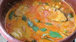 Kerala fish Curry With Coconut Milk  Kerala Recipes  Nisa Homey [upl. by Orlina940]