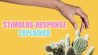 StimulusResponse Reflexes and Homeostasis [upl. by Nevil622]