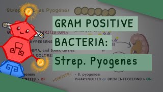 Gram Positive Bacteria Streptococcus Pyogenes [upl. by Aleron]