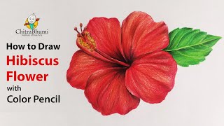 How To Draw Hibiscus Flower  Colored Pencil  Flower Drawing  Easy Step By Step  Art Video [upl. by Nnednarb]