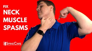 How to Treat Neck Spasms in 1 MINUTE [upl. by Furnary]