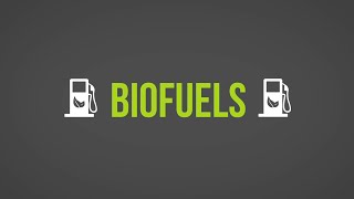 Biofuels 101 [upl. by Llerod811]