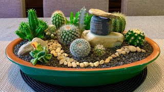 Cacti and Succulents Arrangement [upl. by Airdnola289]