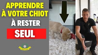 Comment laisser son chiot seul à la maison sans stress [upl. by Enyamart]