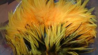 How to Dye Feathers Sunburst with Davie McPhail [upl. by Evol]